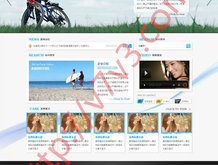 浏览器英翻中